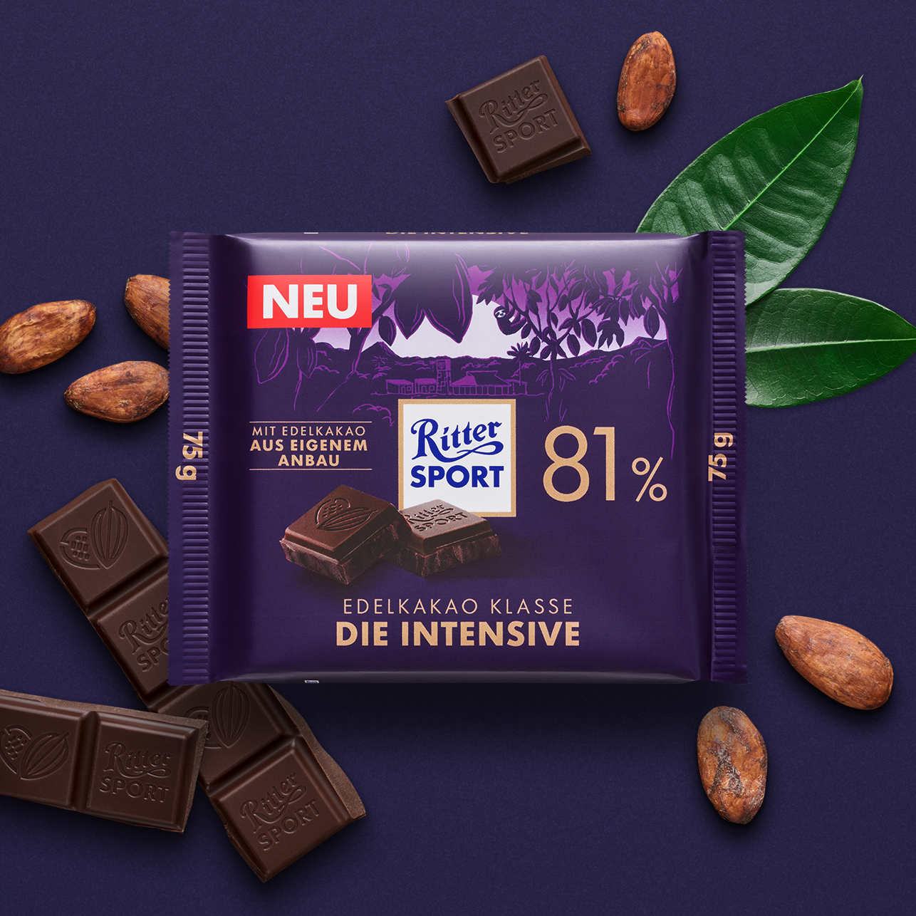 81 Die Intensive